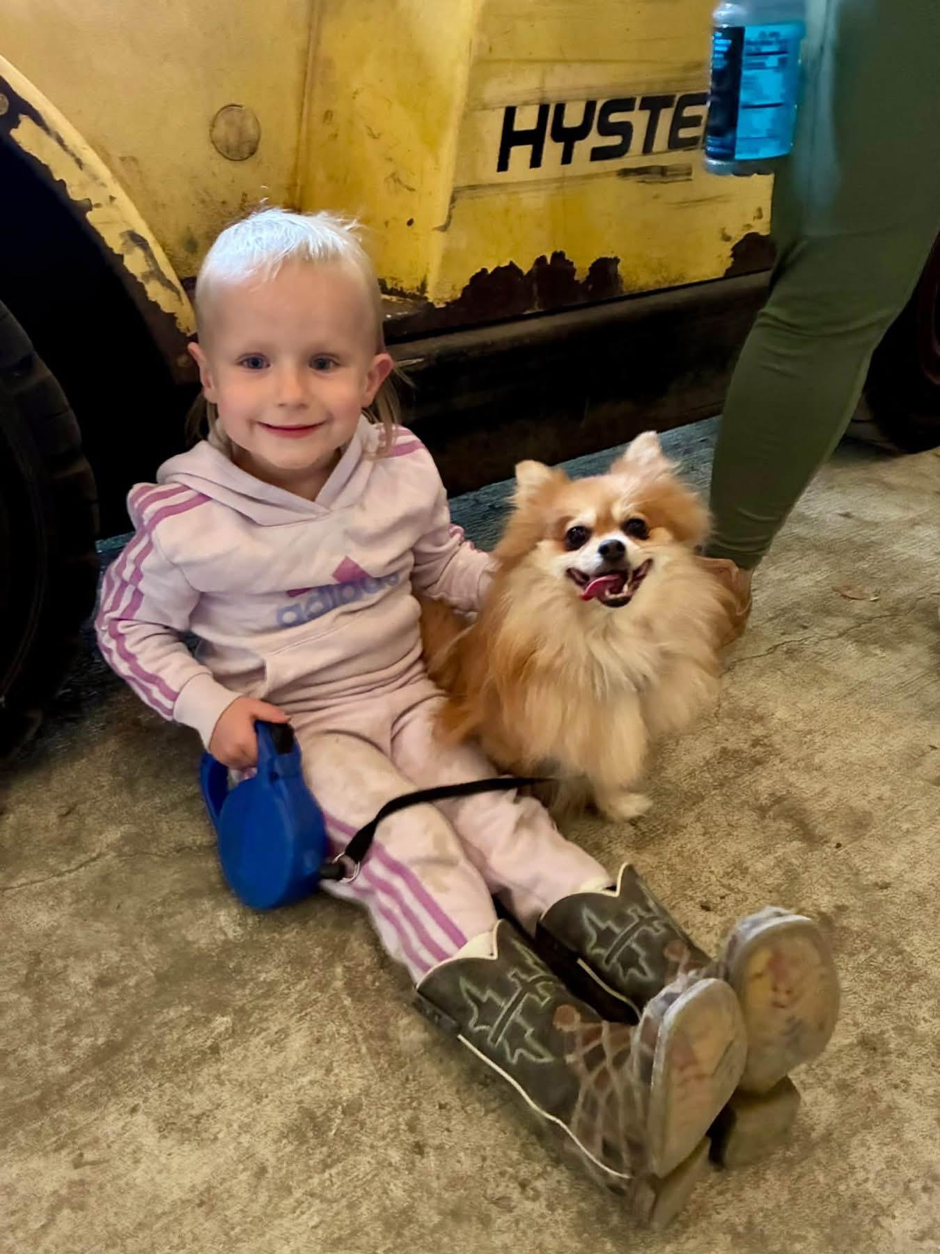 Enlarge Miska, a Adopted Pomeranian in Sheridan, OR image 6/6