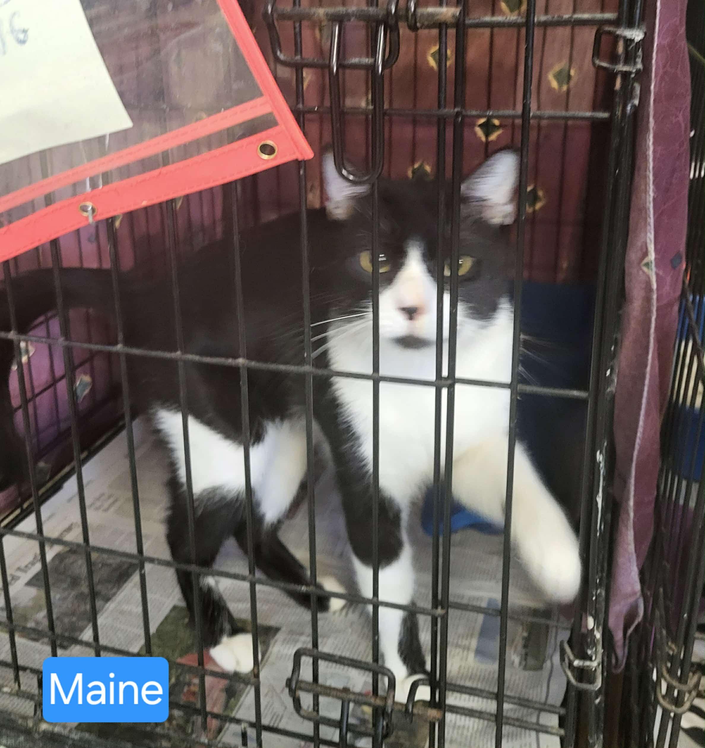 Maine