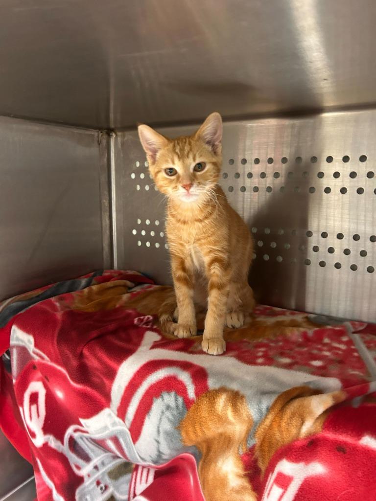 Dave — thumbnail 2