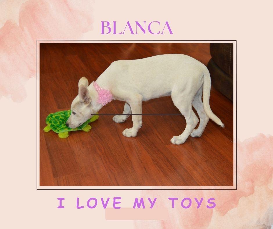 Blanca