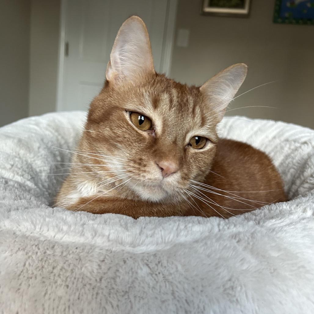 Mooch — thumbnail 2