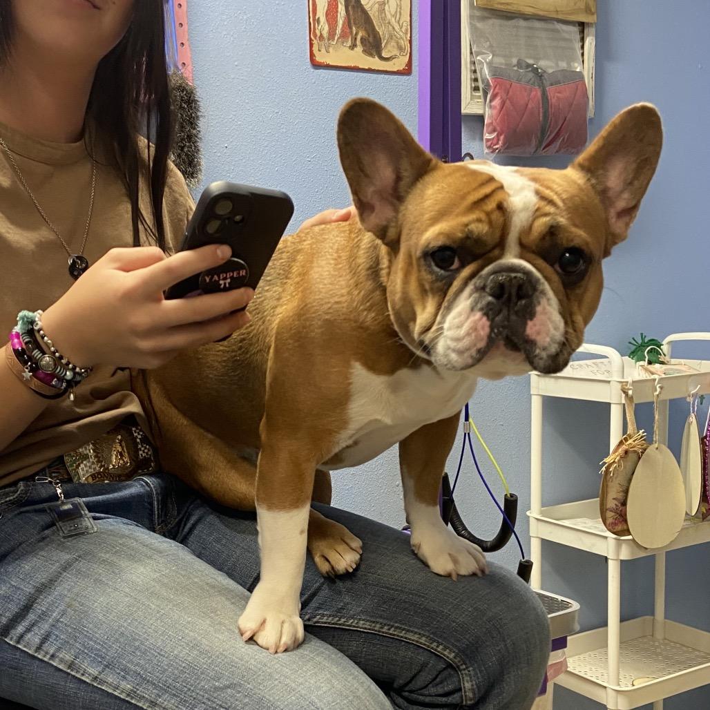 Birdie — thumbnail 5