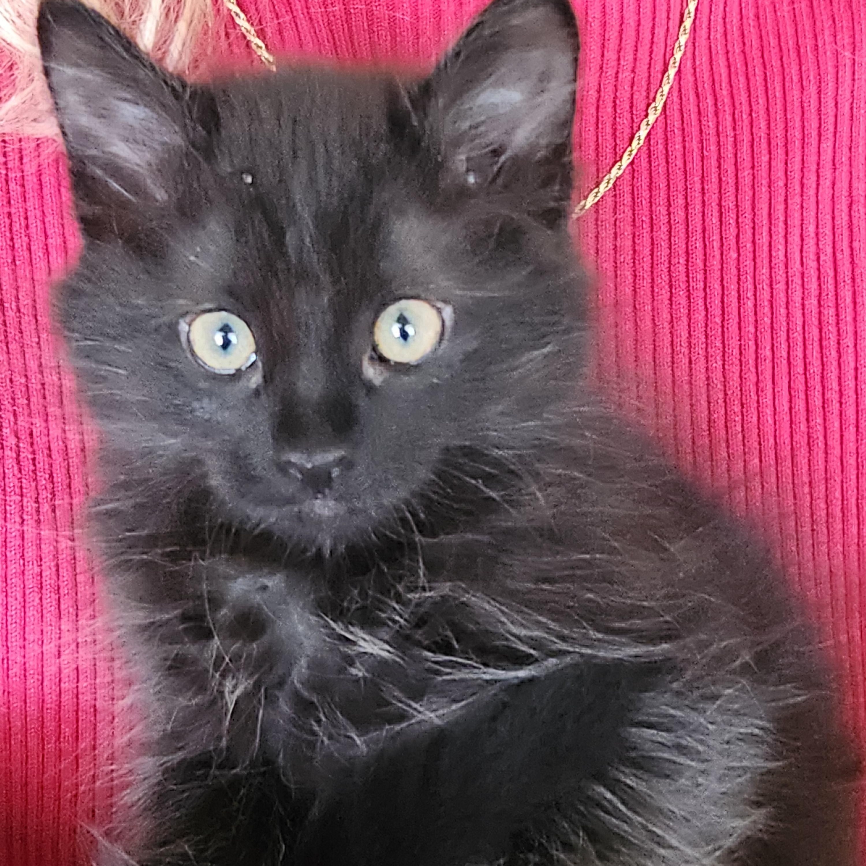 Princess thumbnail 2