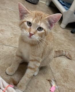 Rosita — thumbnail 2