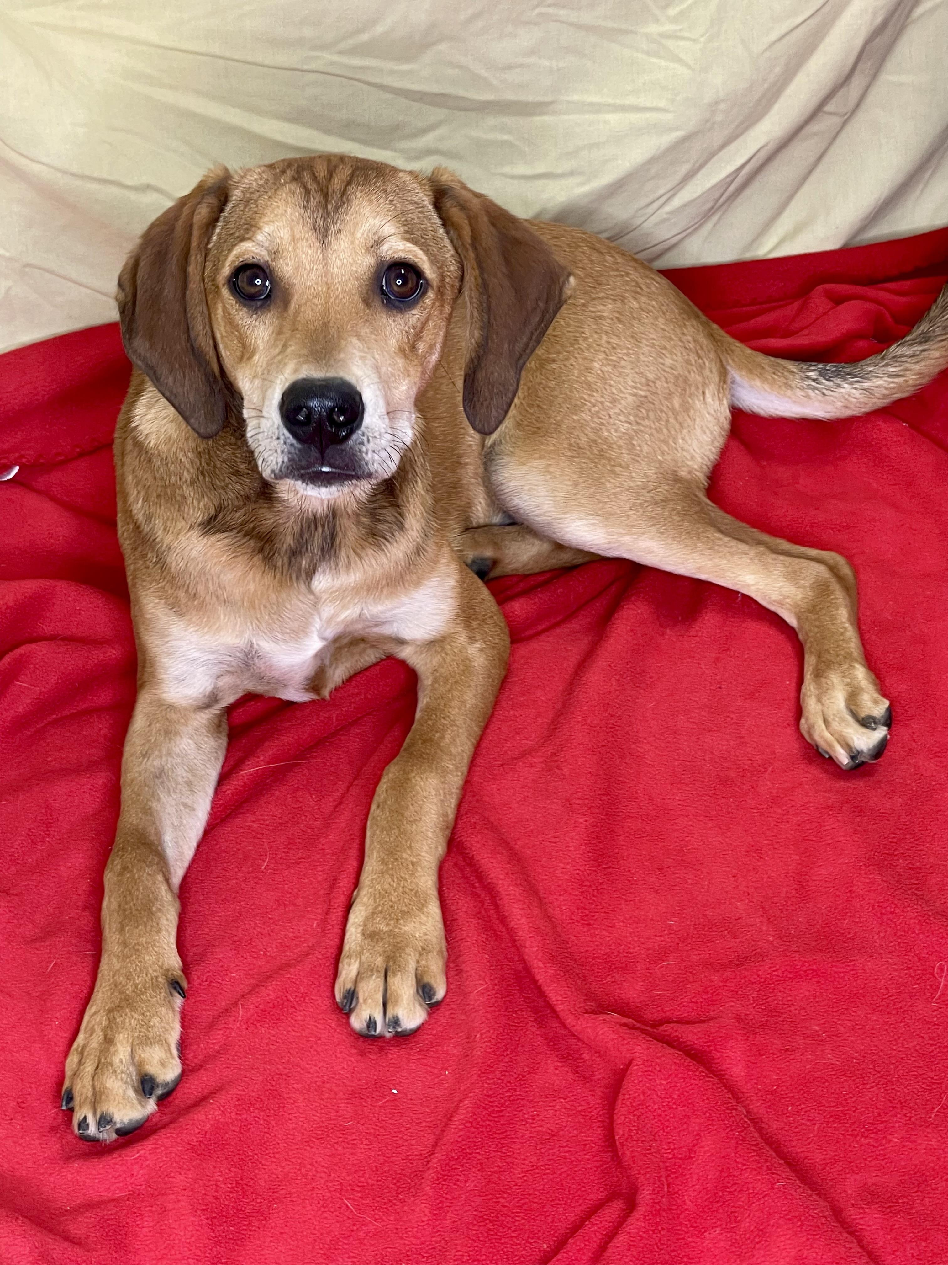 Winston photo 5