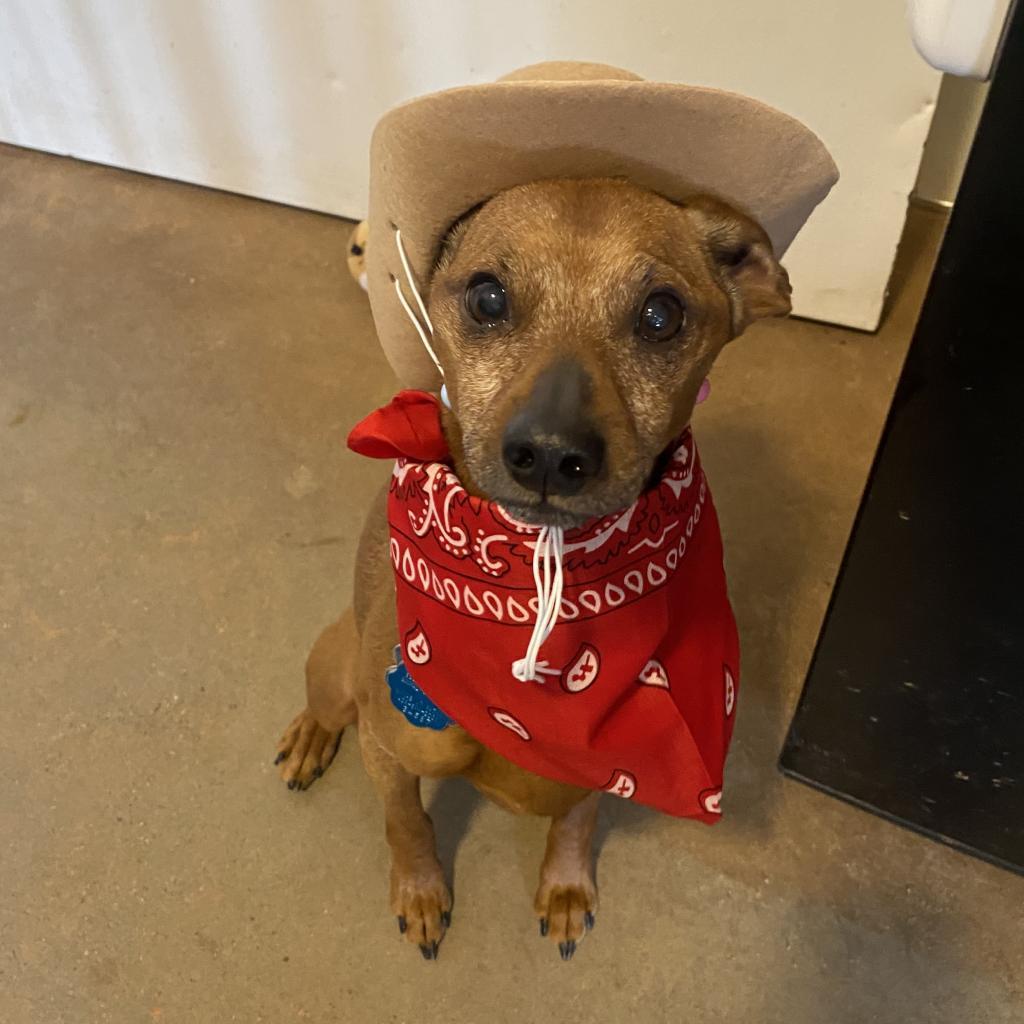 Mort — thumbnail 2