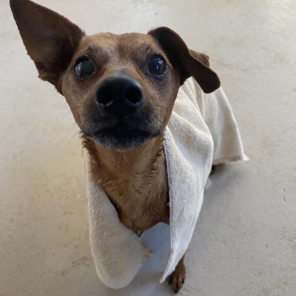 Mort — thumbnail 3