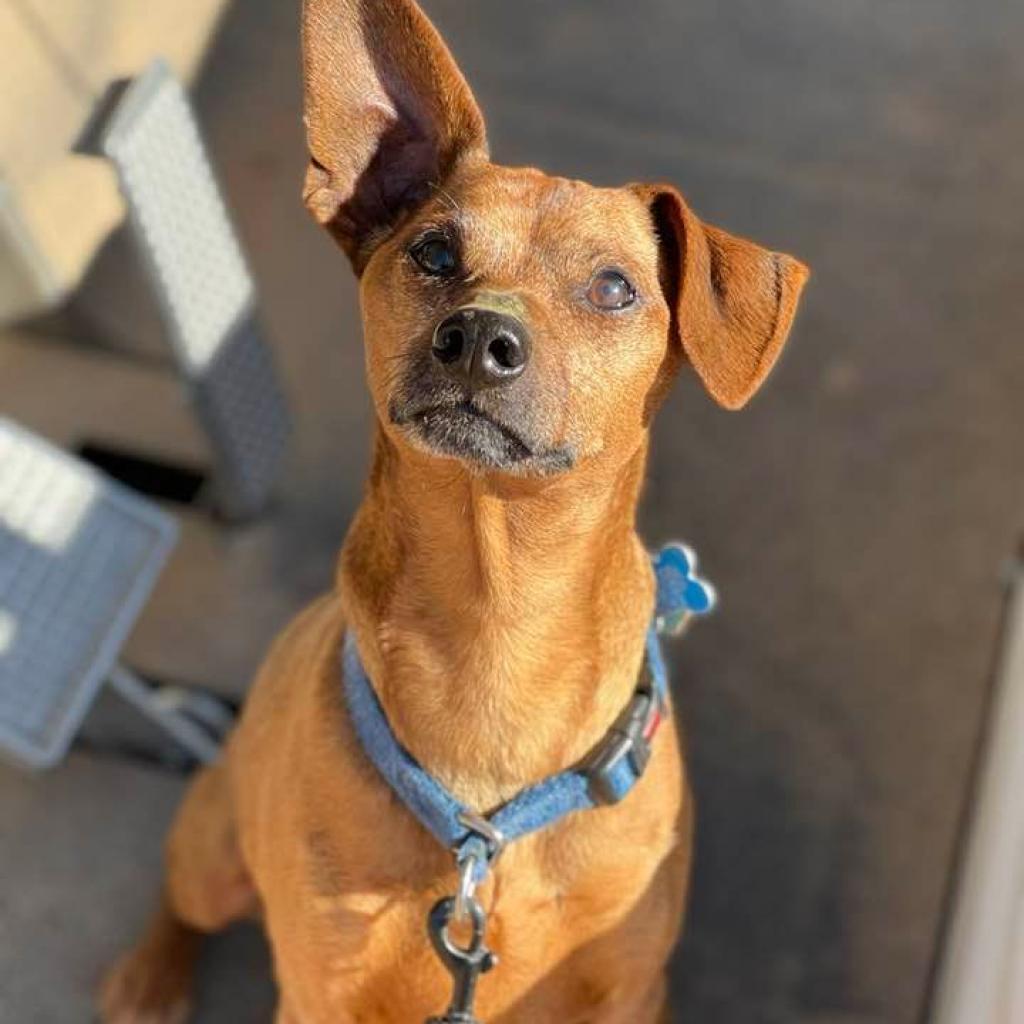 Mort — thumbnail 4