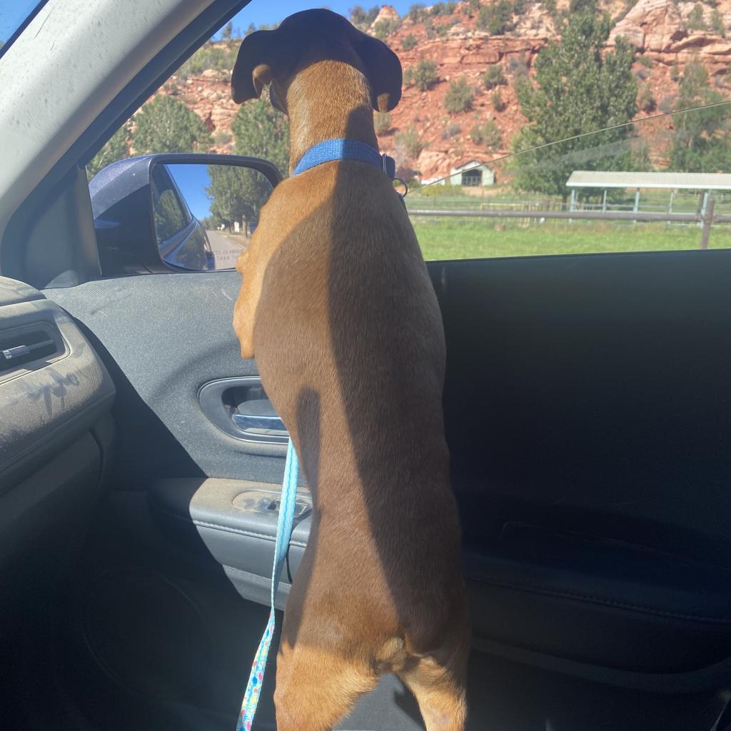 Mort — thumbnail 5