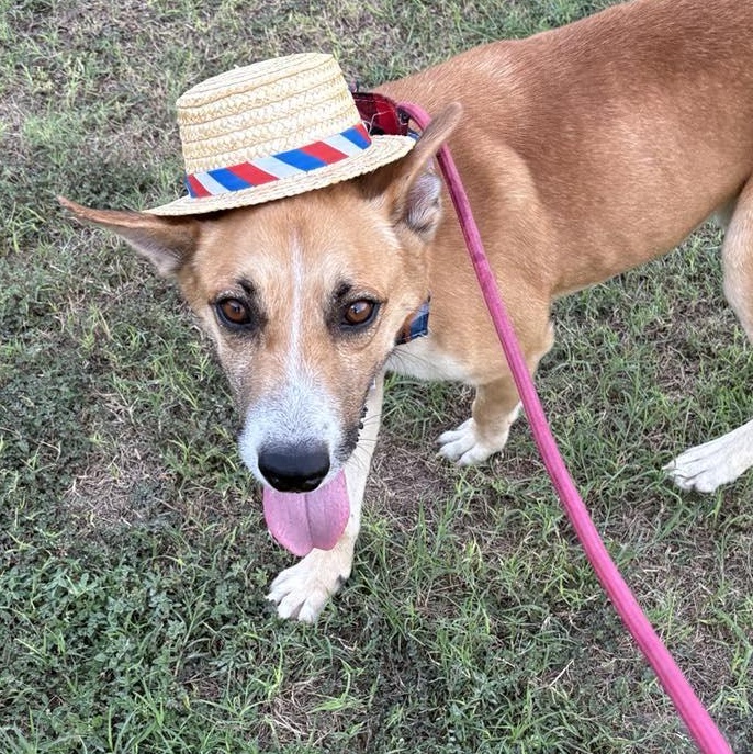 Flako — thumbnail 6