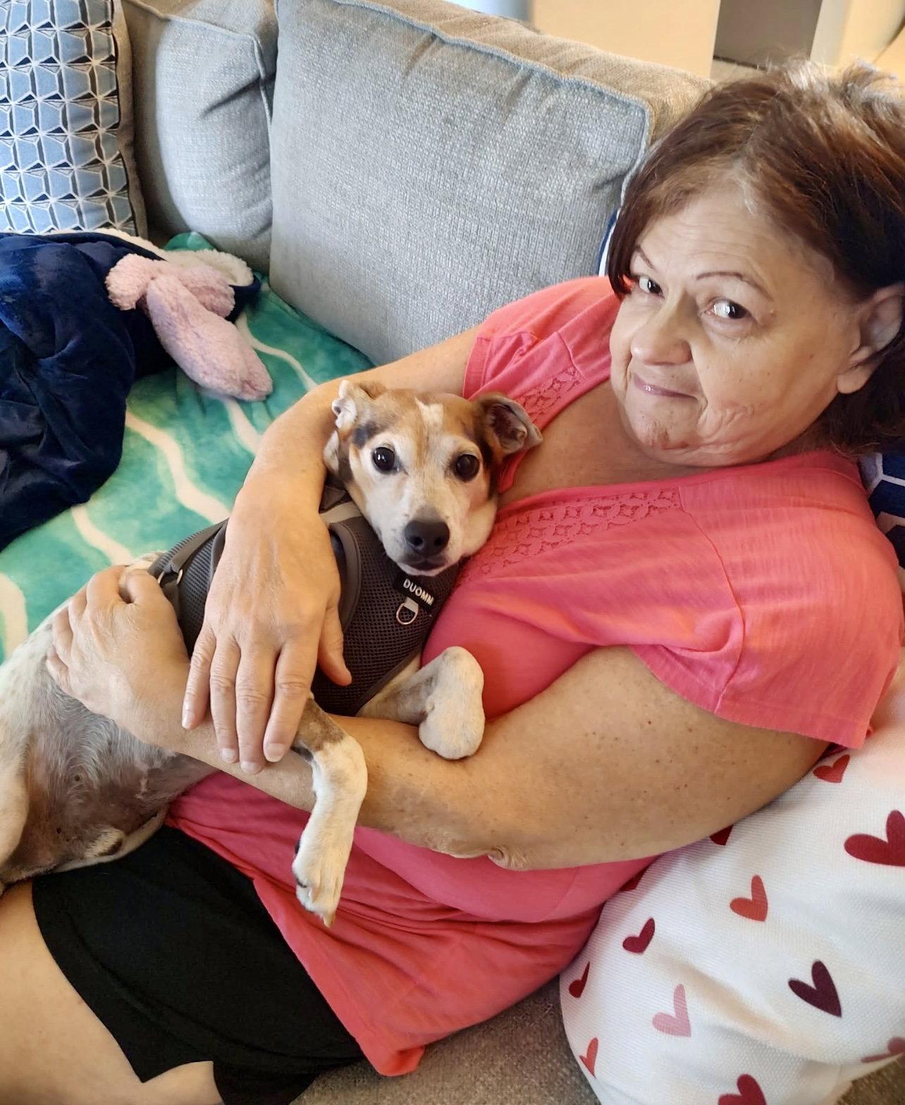Enlarge Poncho II, a Adopted Beagle in Dunnellon, FL image 3/3