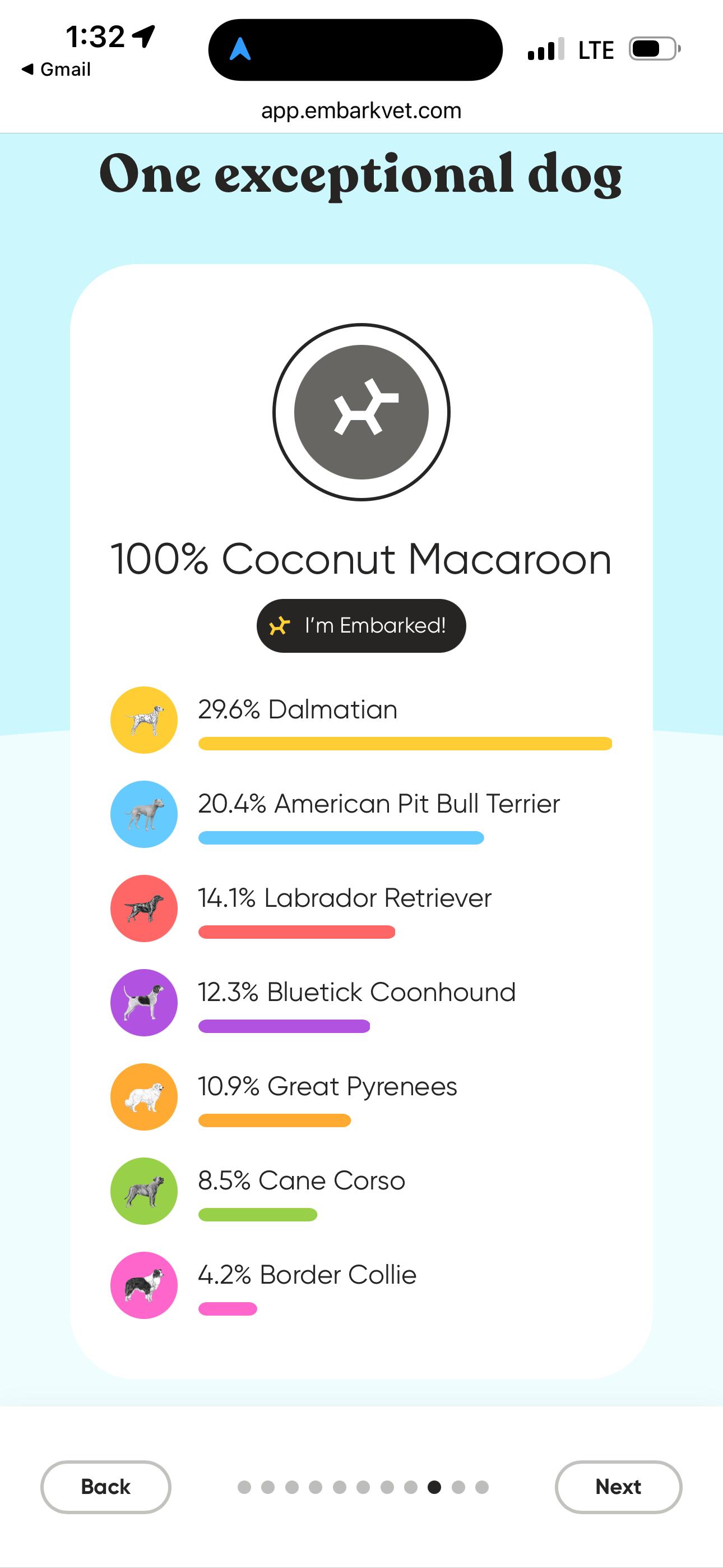 Enlarge Pinwheel, a Adoptable mixed breed in Iron River, MI image 3/5