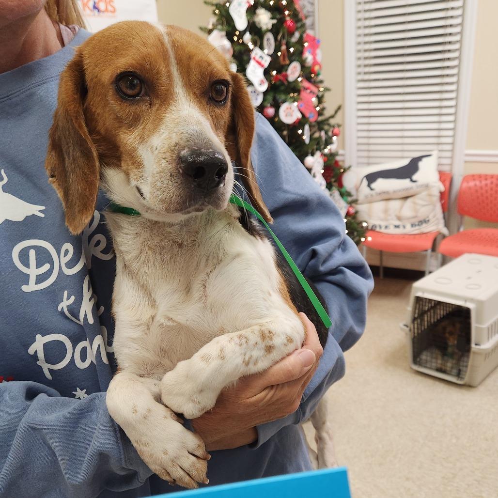 Bonbon 22058 — thumbnail 3