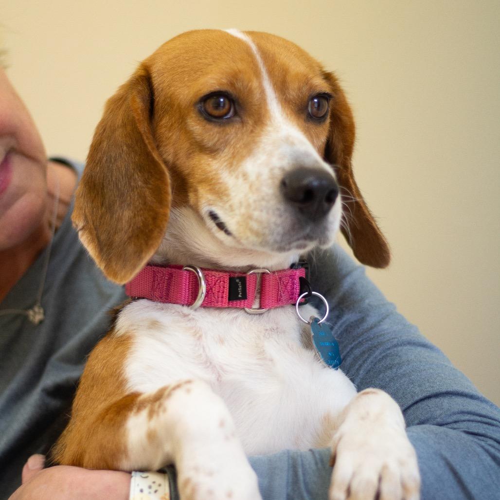 Bonbon 22058 — thumbnail 4