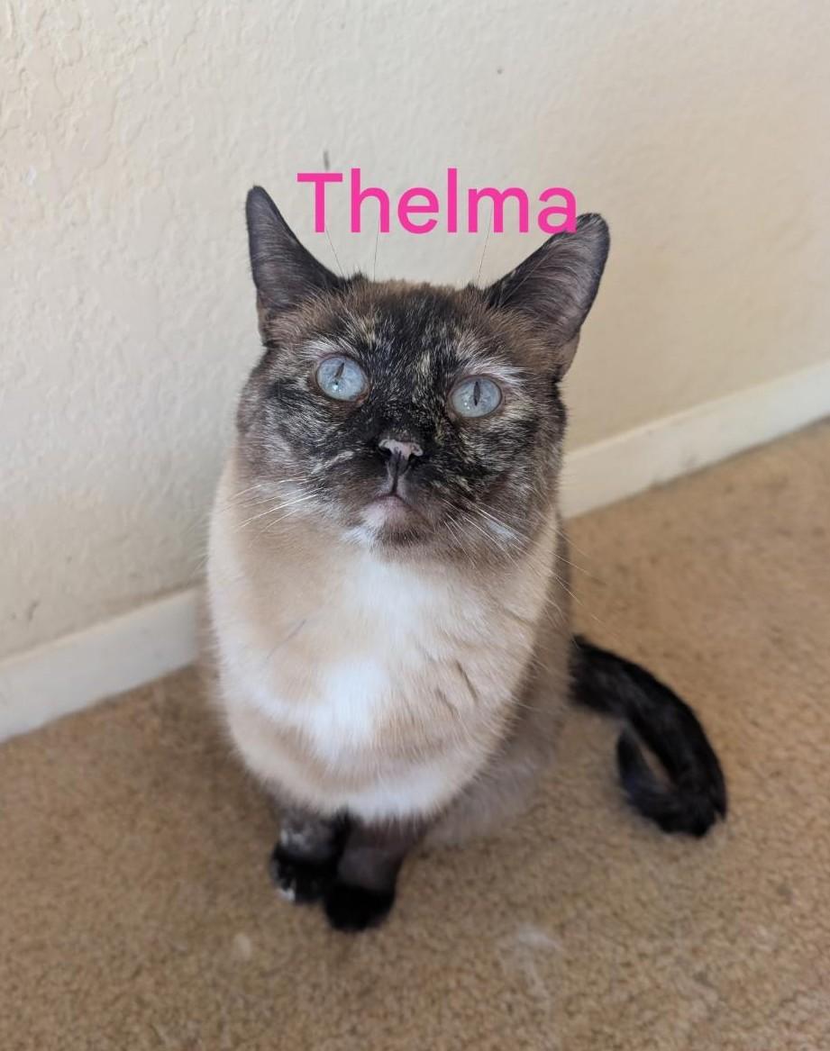 Thelma