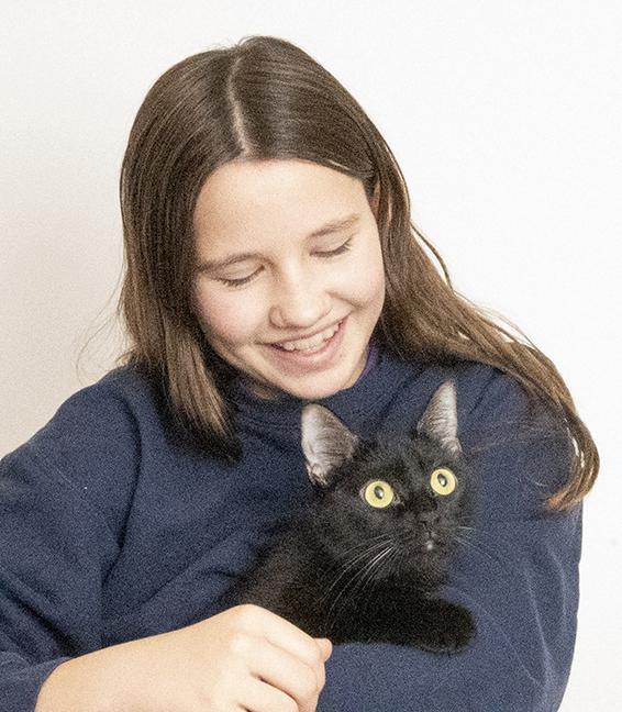 Enlarge Momma Lilac and Family, a Adoptable Domestic Medium Hair in Chicago, IL image 2/2