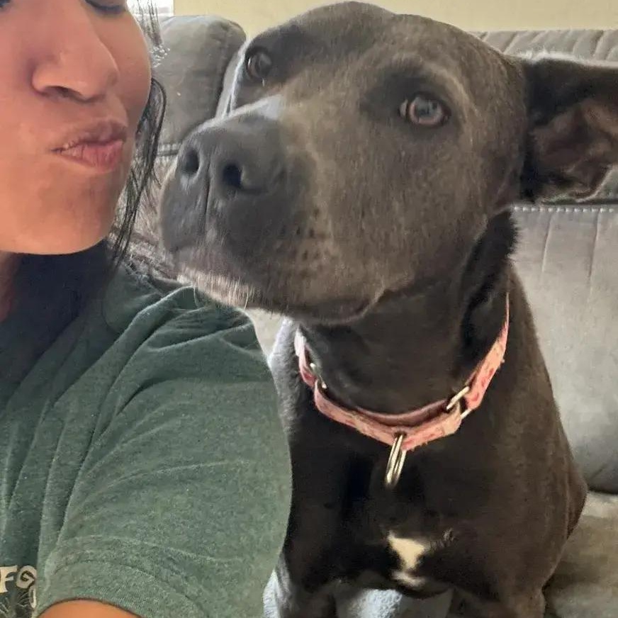 Enlarge Dory, a ADOPTABLE mixed breed in Polk, OH image 4/6