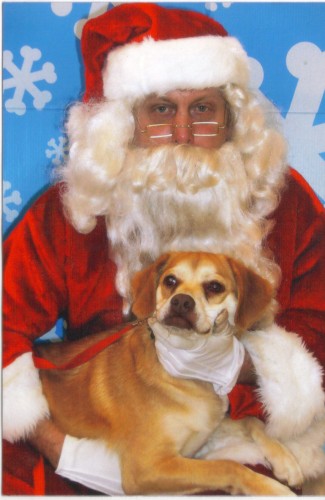 Enlarge FUYANO, a Adopted mixed breed in Newborn, GA image 1/6