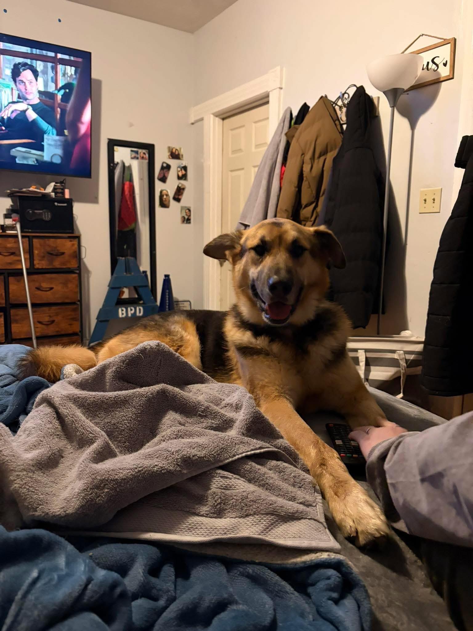 JAGER -Fostered in RI!!