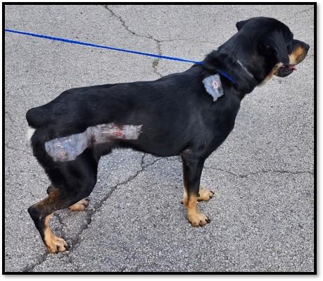 Zeke — thumbnail 5