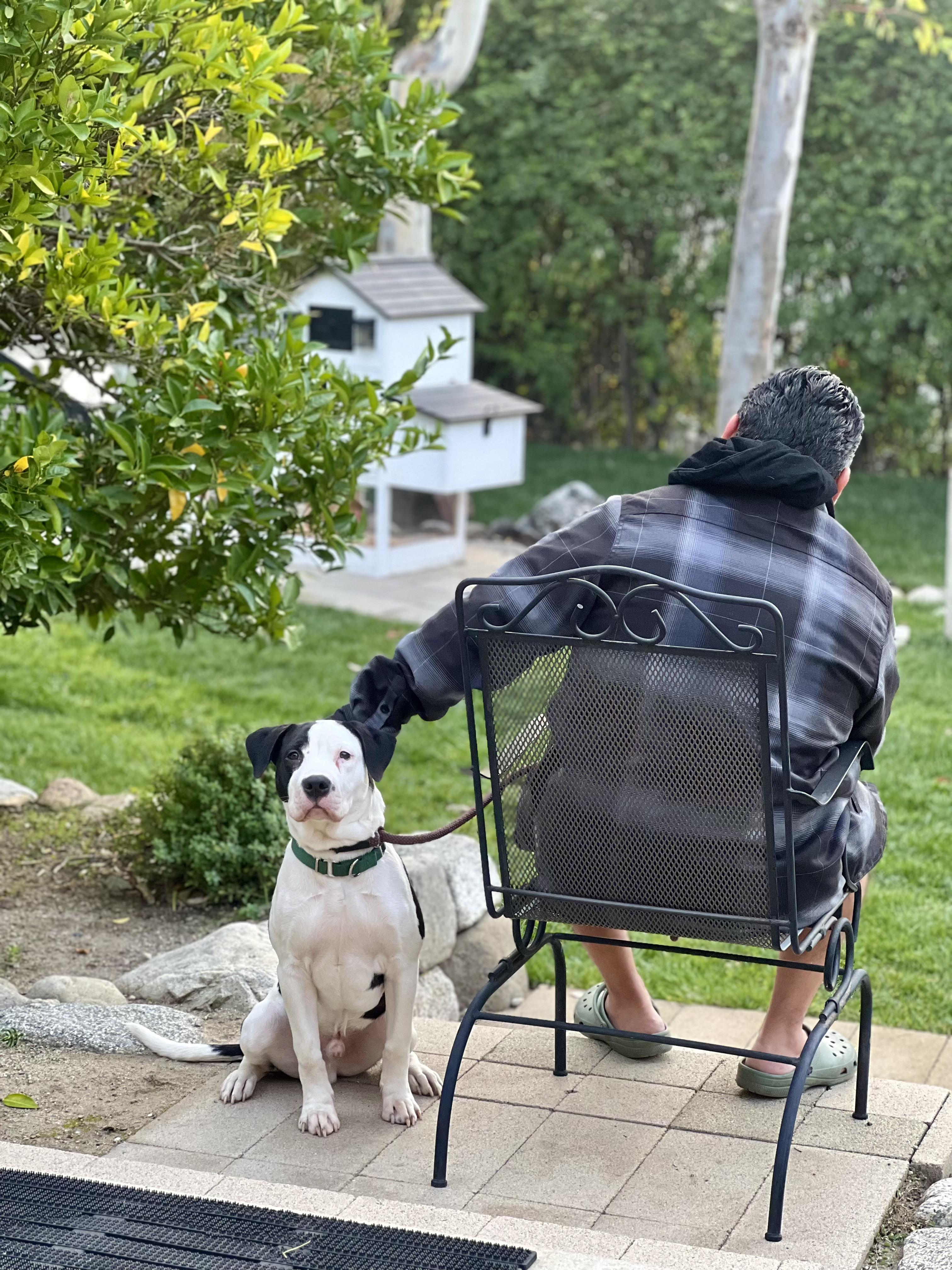 Roscoe — thumbnail 2