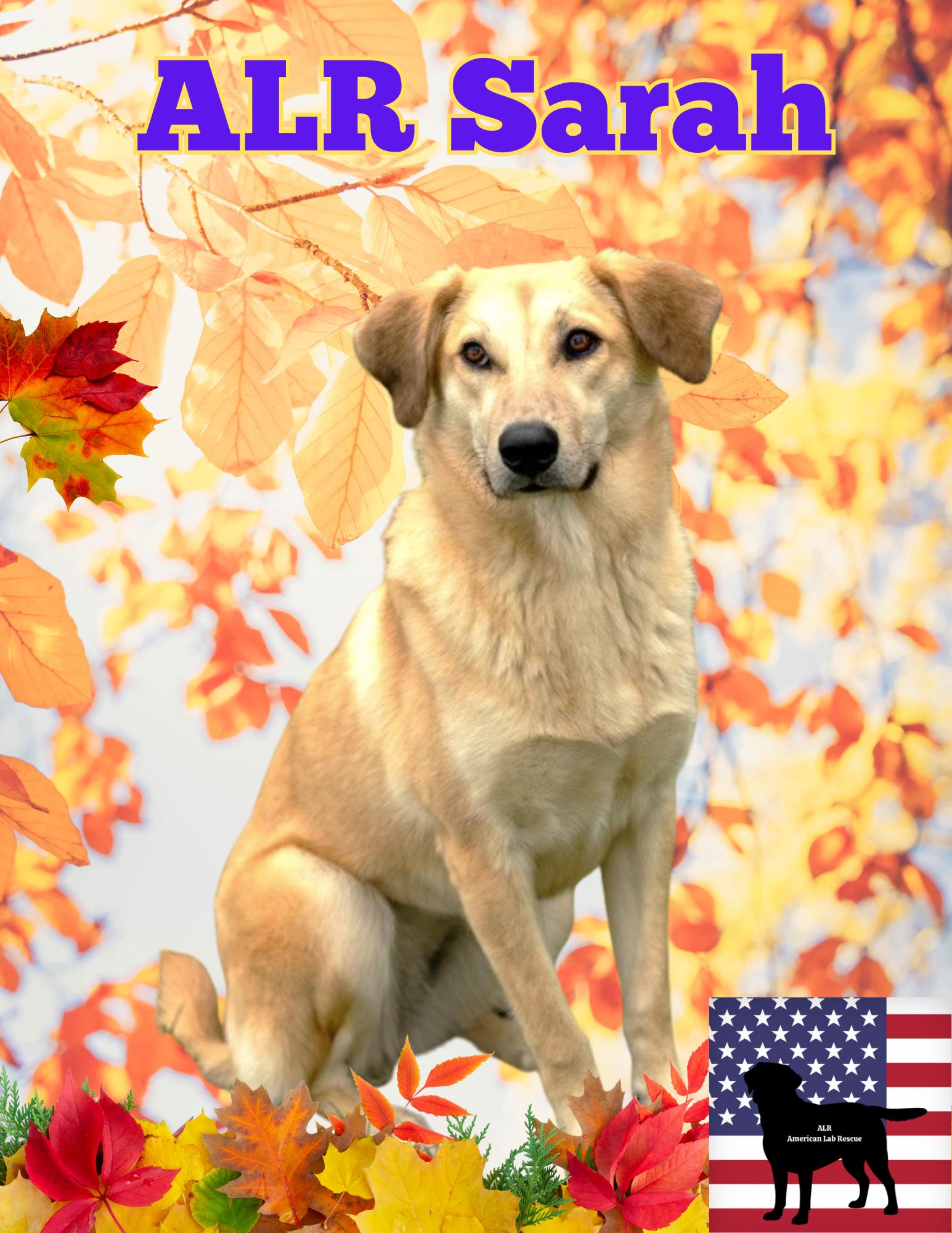 Sarah - Fostered in Connecticut