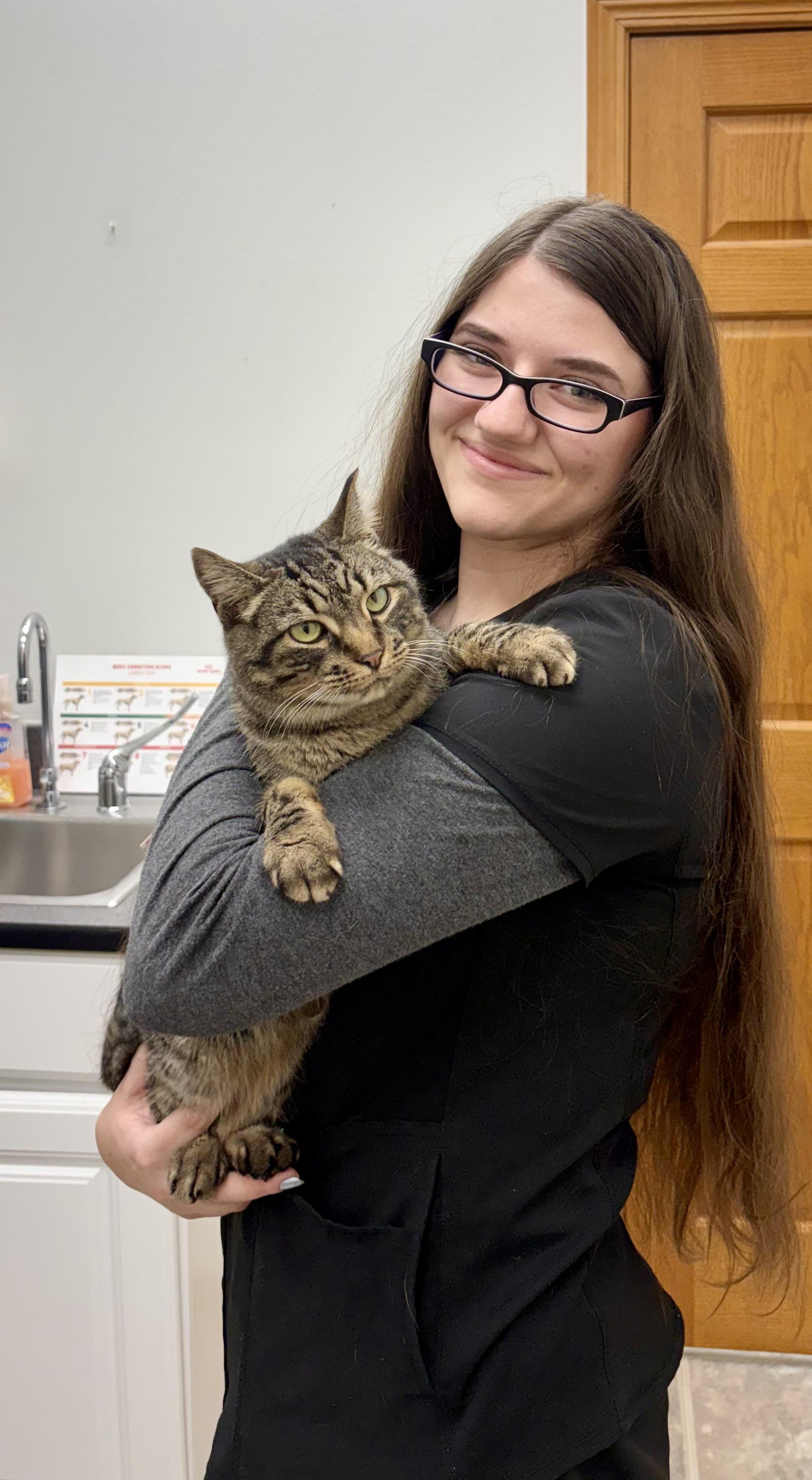 Enlarge Tundra , an adopted mixed breed in Charles City, IA image 3/5