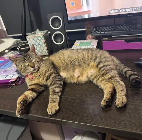 Lily #seeks-out-affection