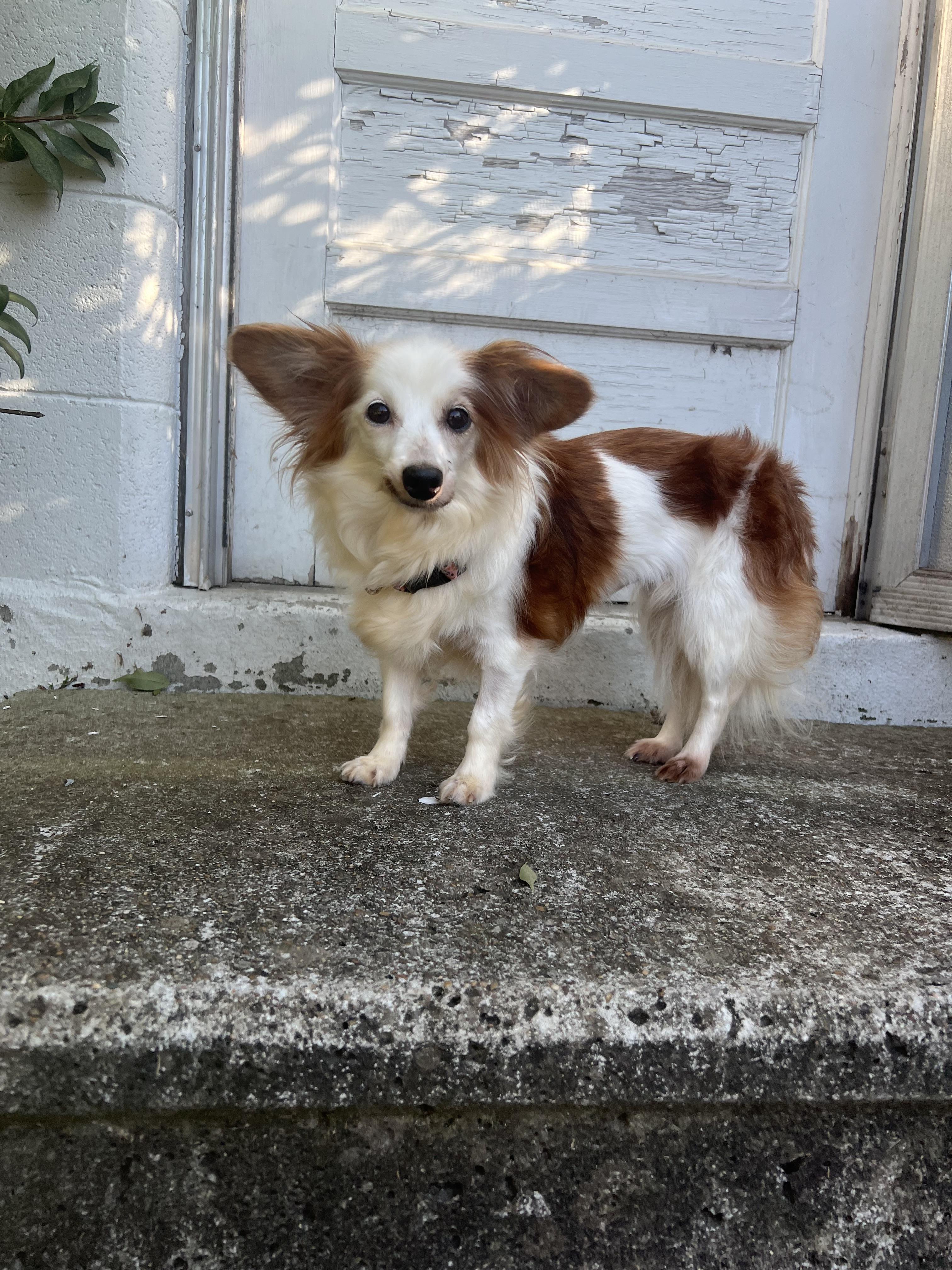 Betty White thumbnail 3