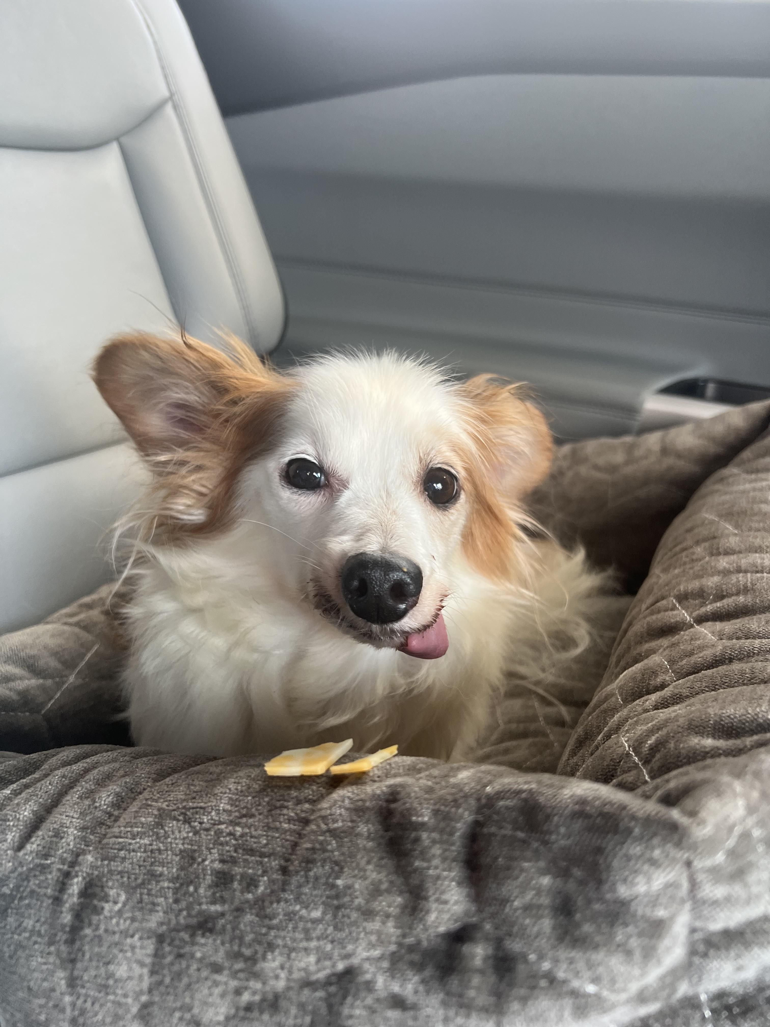 Betty White thumbnail 4