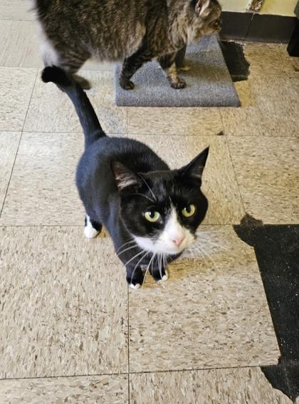 Spot — thumbnail 3