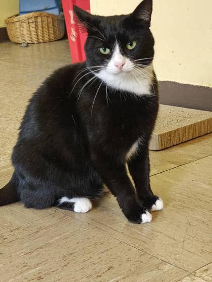 Spot — thumbnail 4