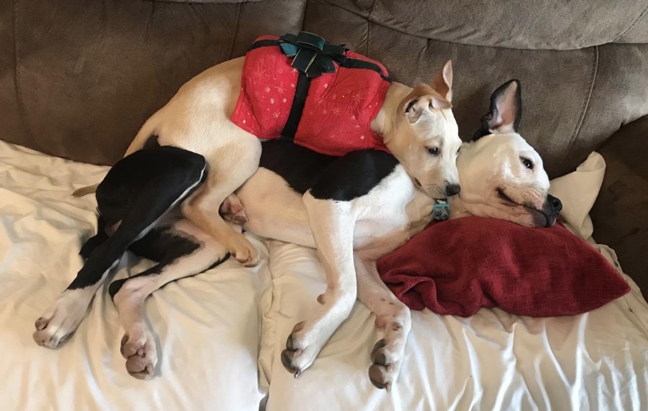 Sven 0125 — thumbnail 3