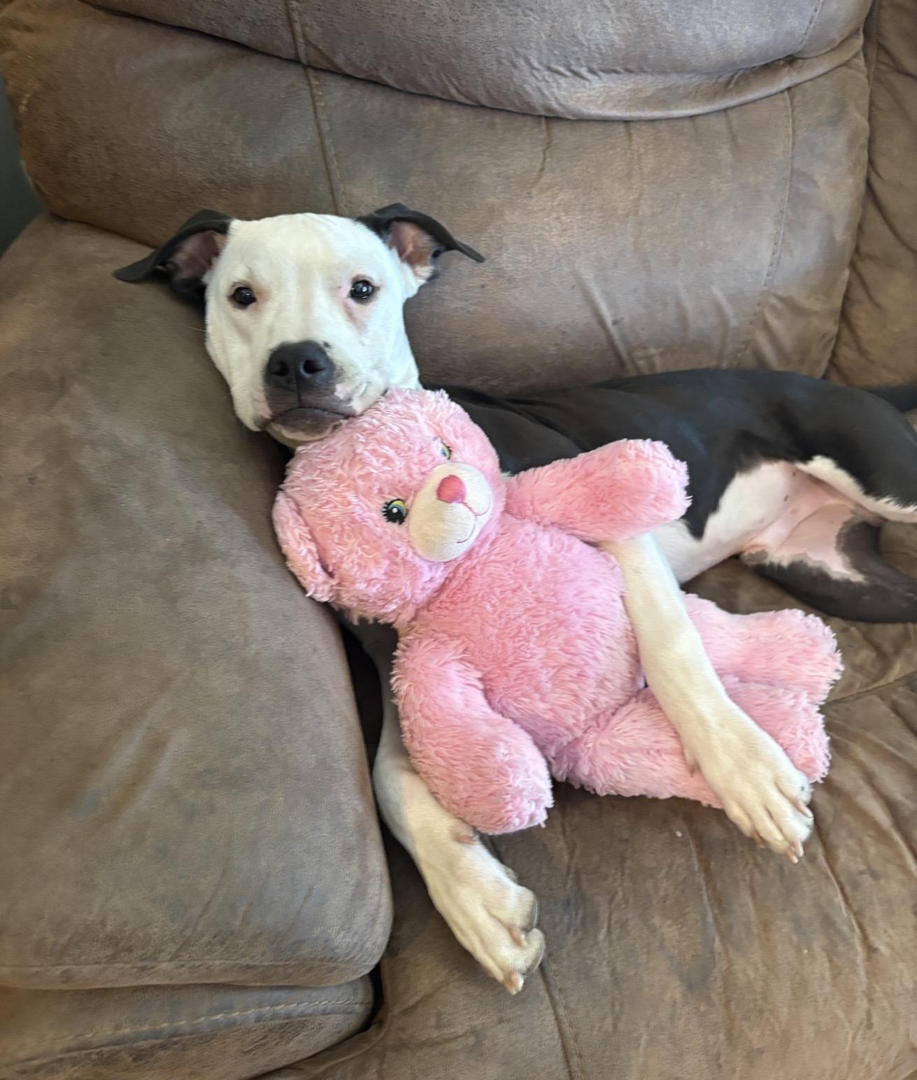 Sven 0125 — thumbnail 6