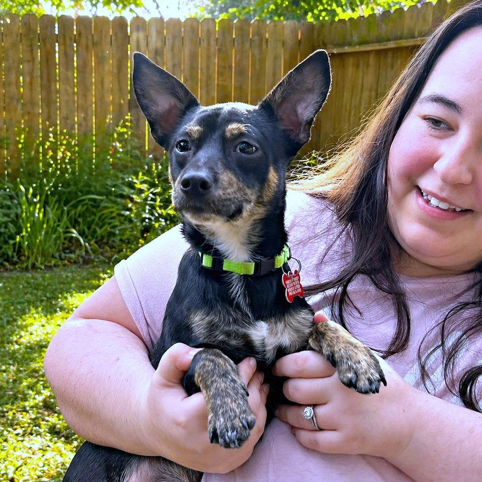 Enlarge Jester, a Adoptable mixed breed in Boerne, TX image 4/6