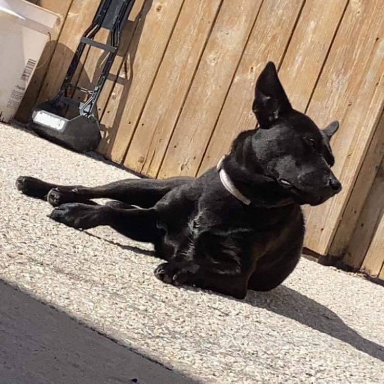 Corinth — thumbnail 4