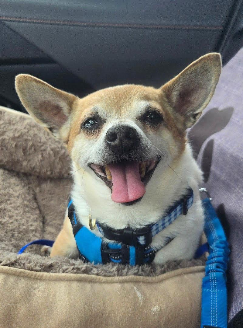 Max Hadley — thumbnail 2