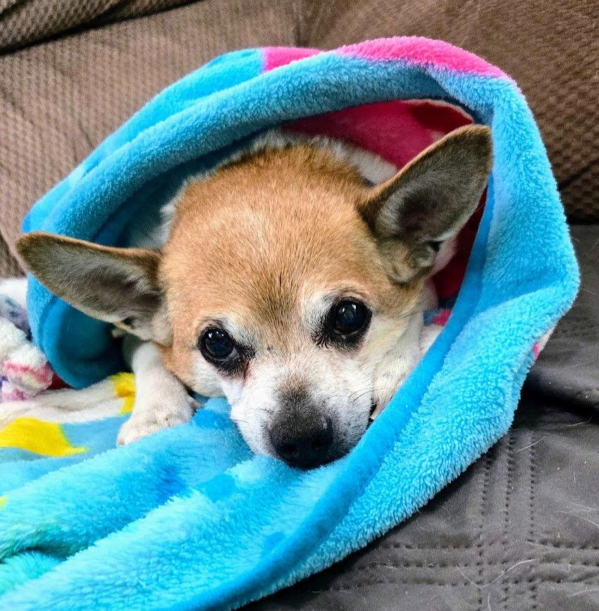 Max Hadley — thumbnail 3