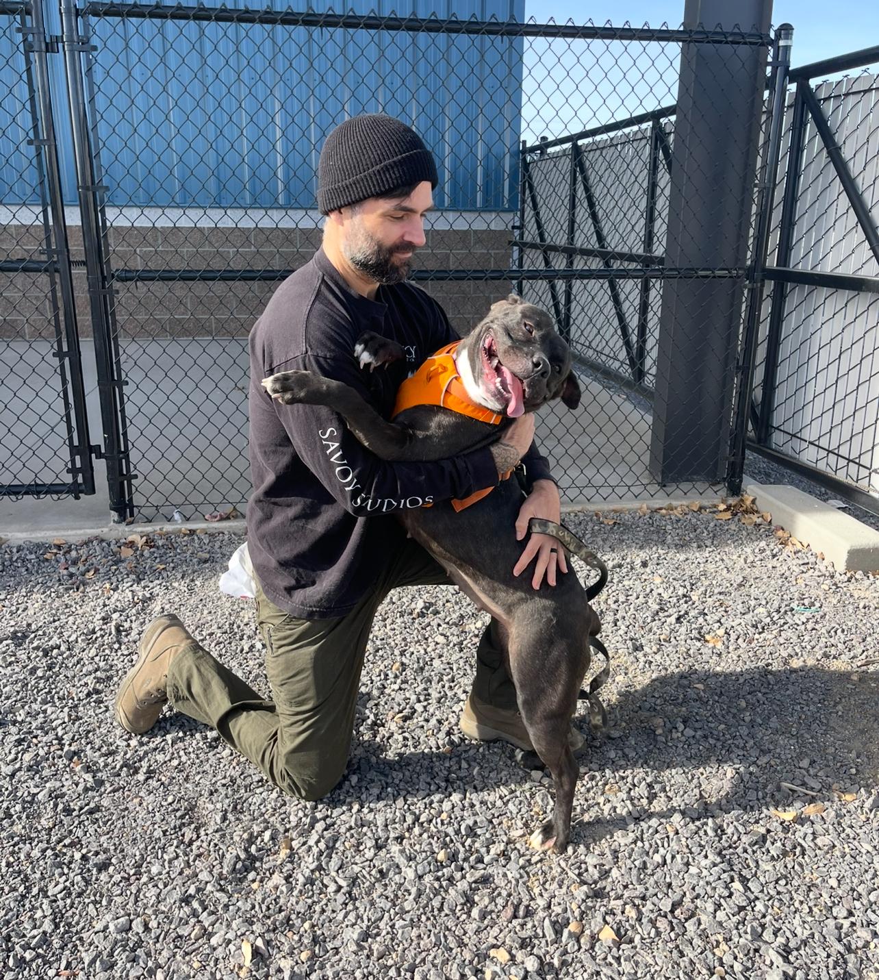 Obi, a ADOPTABLE mixed breed in Prineville, OR image 5/6