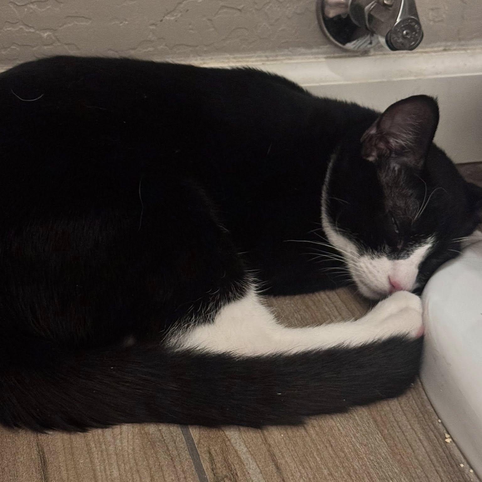 Otis
