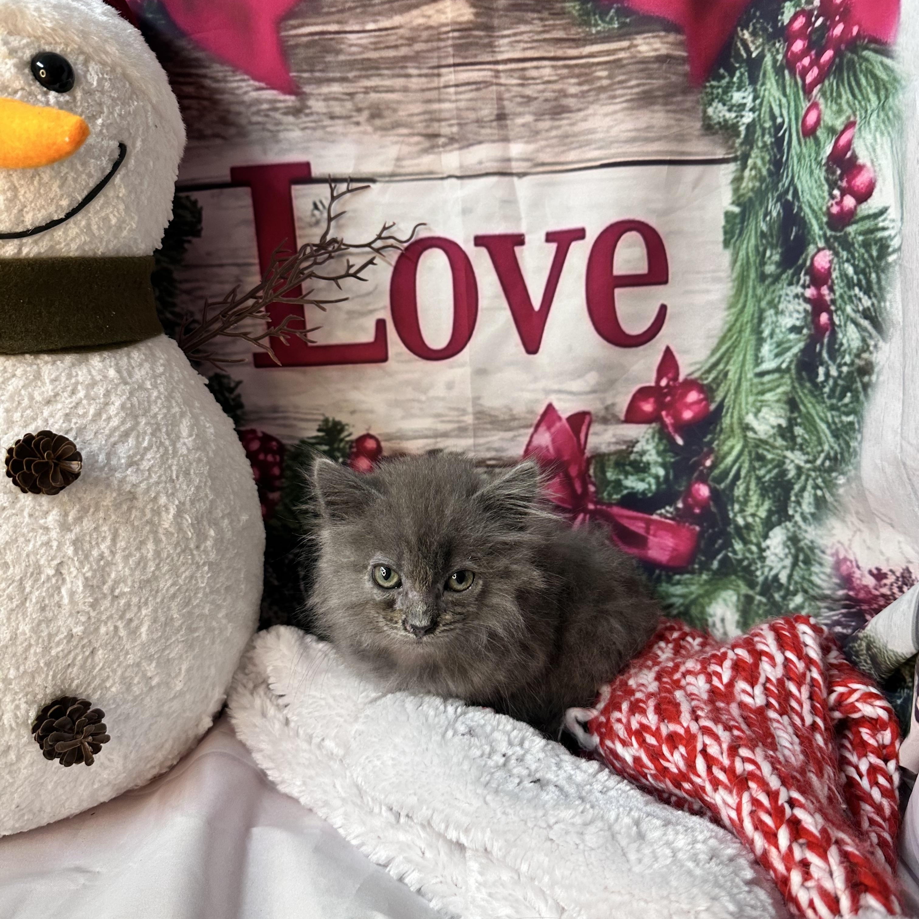 Snowflake thumbnail 3