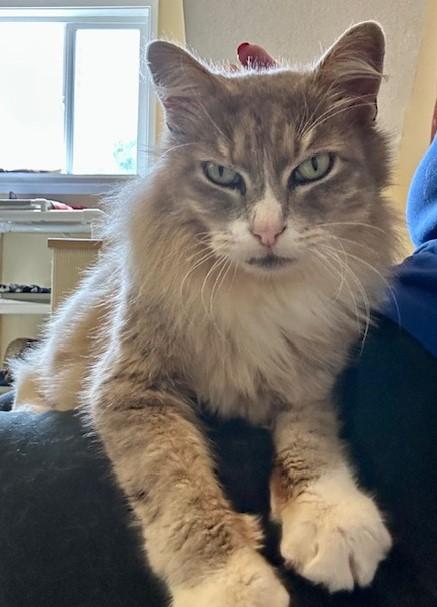 River - Big, Handsome and Very Social photo 1