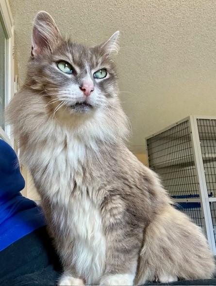 River - Big, Handsome and Very Social photo 2