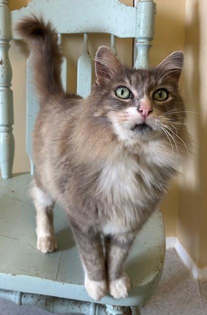River - Big, Handsome and Very Social photo 4