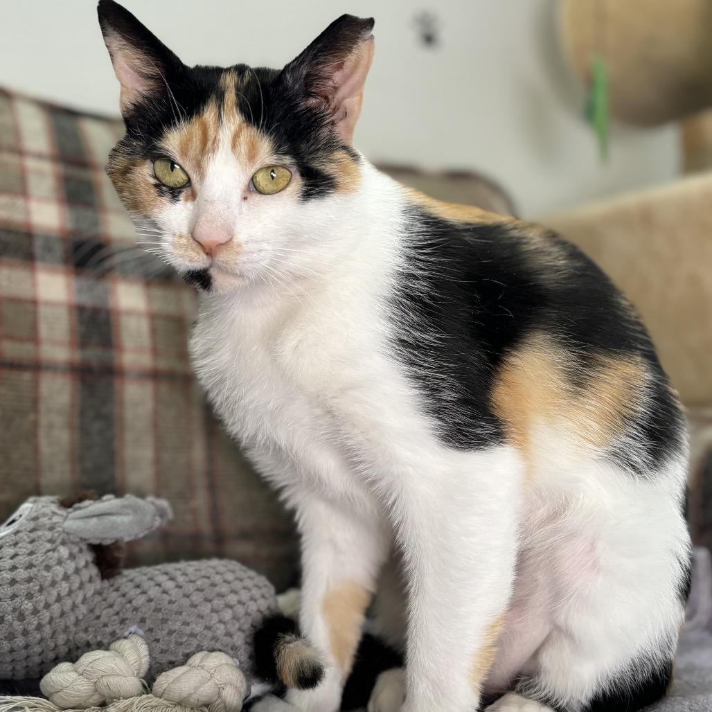 Linda — thumbnail 3