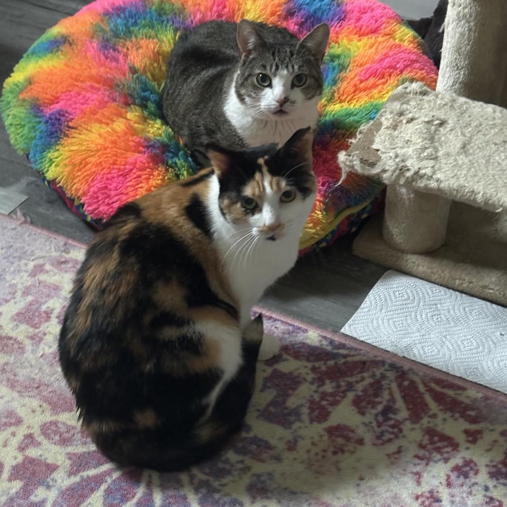 Linda — thumbnail 5