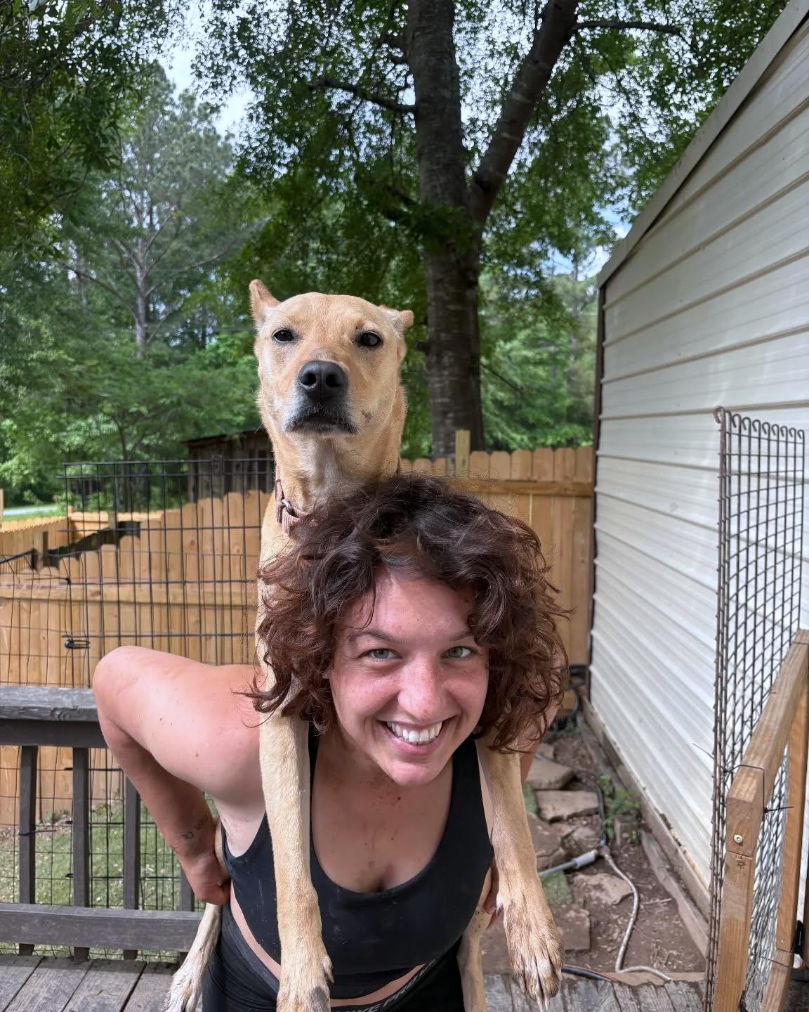 Lucy, a Adoptable mixed breed in Helena, AL image 3/5