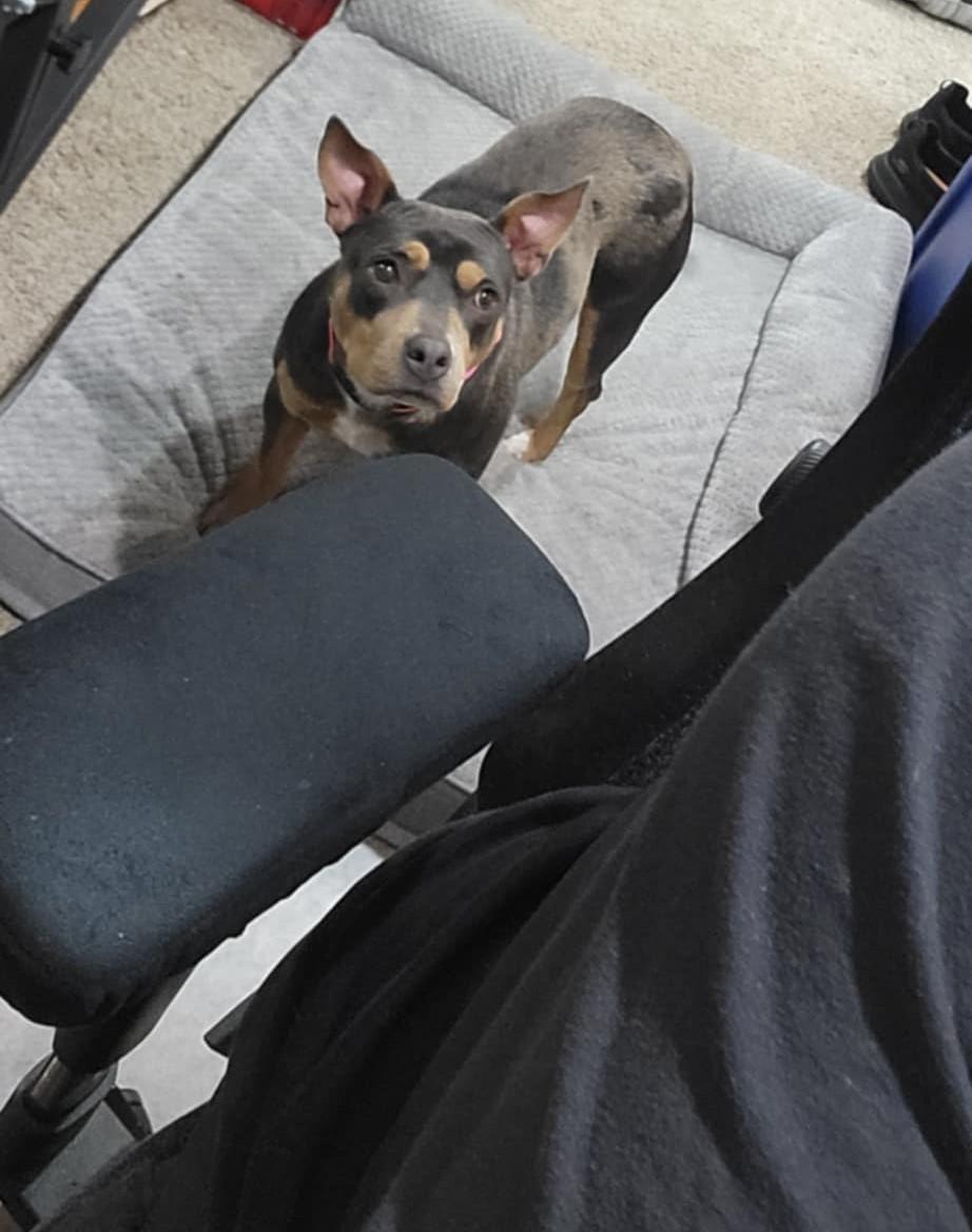 Roxy photo 3