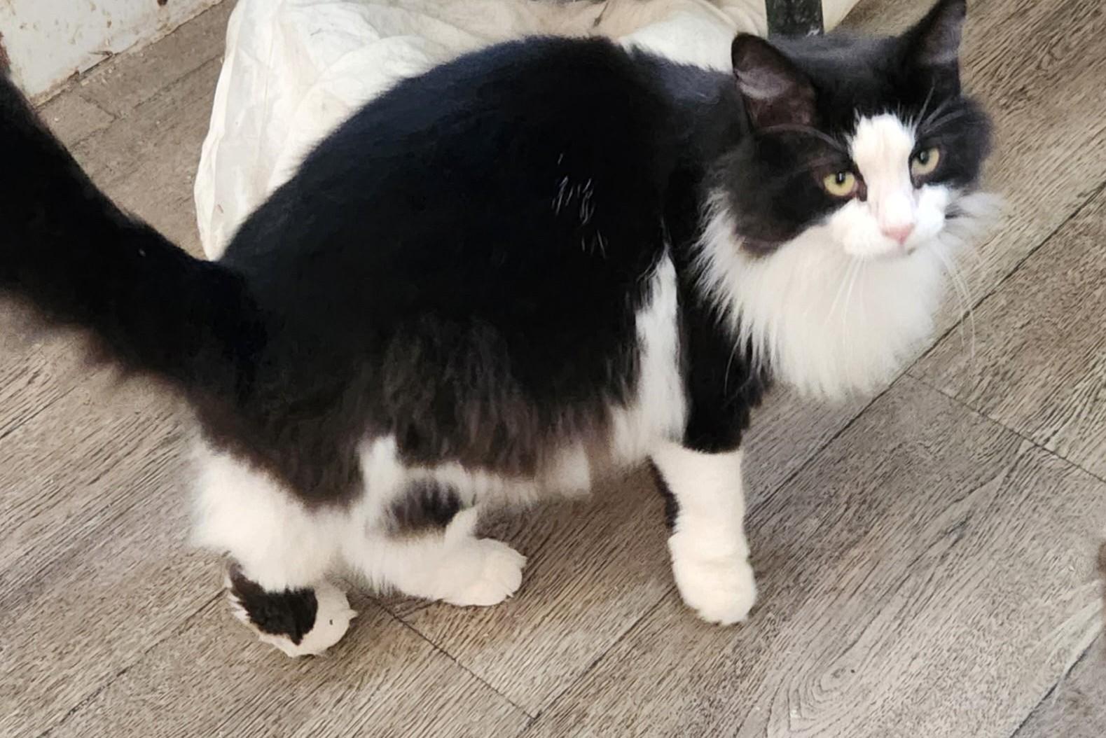 Precious thumbnail 4