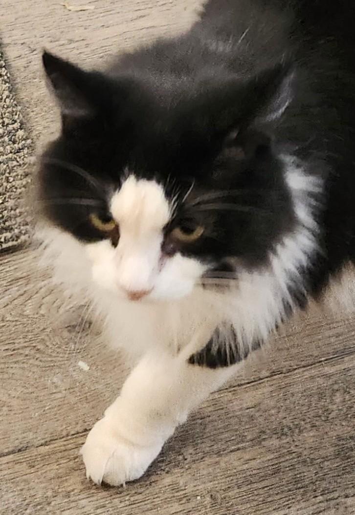 Precious thumbnail 5